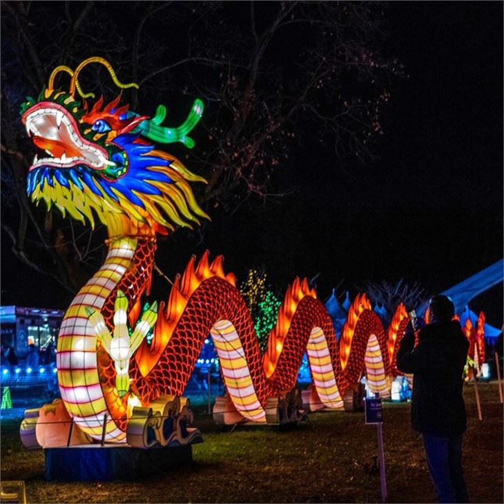 Chinese Traditional Dragon Lantern