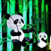 祭りのための庭の装飾的なランタンカラフルな導かれた中国の旧正月のランタン